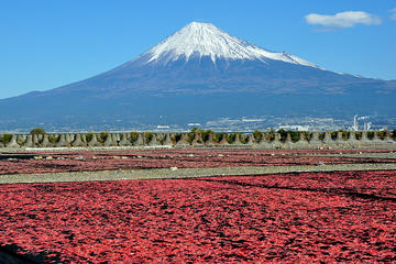 Mt Fuji Private One-Day Tour by Chartered Vehicle from Tokyo