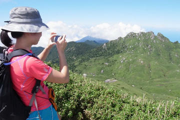 Mt. Miyanoura Hiking Tour in Yakushima Island with Licensed Local Guide