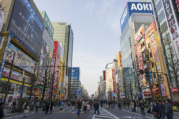 Private Custom Full Day Tokyo Manga Anime Tour by Chartered Vehicle