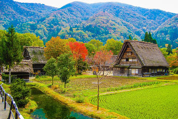 Private Custom Full-Day Tour of Shirakawa-go from Takayama