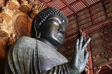 Private Full-Day Nara Custom Tour from Osaka by Chartered Vehicle