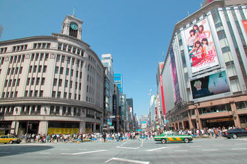 Private Tokyo Custom Shopping Tour by Chartered Vehicle