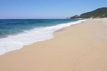 Private Tour: Full-Day Walking Tour with Professional Local Guide in Yakushima Island