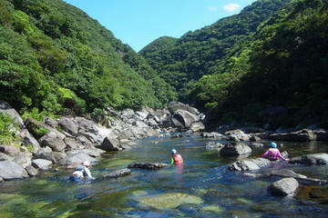 Stream Climbing Experience in Yakushima