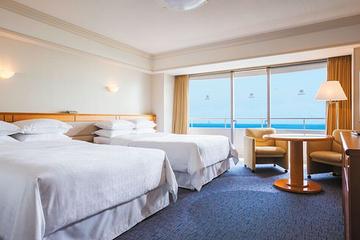 Tokyo Disneyland Disneysea Ticket and Hotel Package