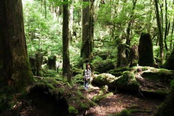 Walking Tour on Yakushima Island