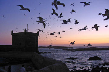 4-Day Essaouira Guided Tour including Astapor