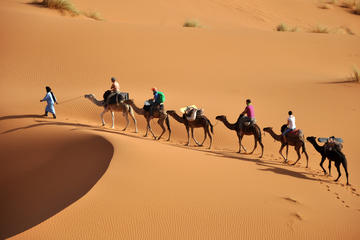 7-Night Private Caravan Road Tour from Casablanca