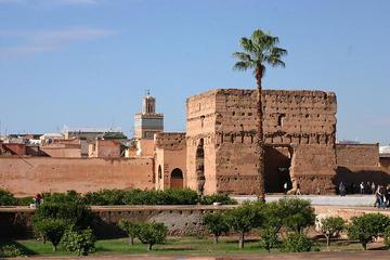 Marrakech Day Tour from Essaouira