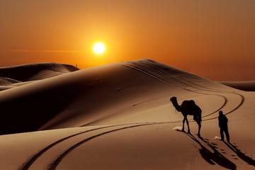 Private 4 Day Desert Escape From Agadir