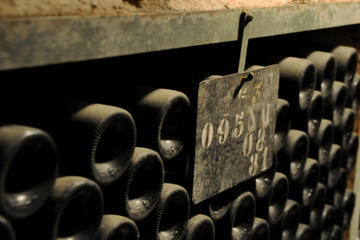 Full Day Private Tour with Tasting of 10 Grands Crus - The Best of Burgundy
