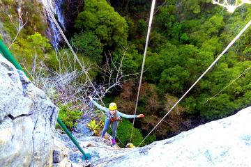 Sima de las Cotorras and El Aguacero Rappelling Adventure