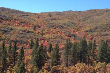 Mt Trumbull Day Trip
