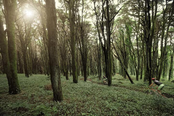 Sintra Private Bike Tour