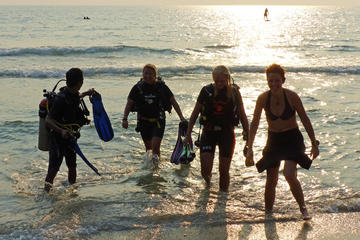 Introductory Scuba Diving Course Including Hotel Pickup