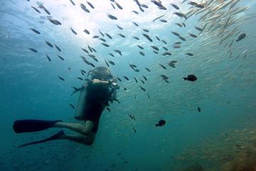 Koh Chang Dive Trip Including 2 Dives