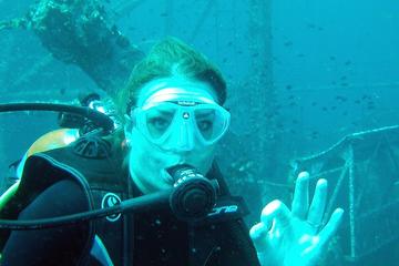 Padi open water diver course