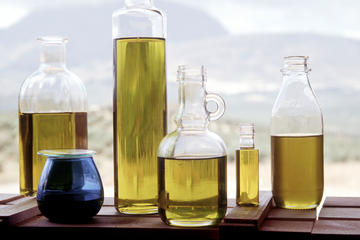 Olive Oil Tasting in Córdoba