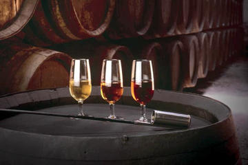 Wine Tasting in Cordoba