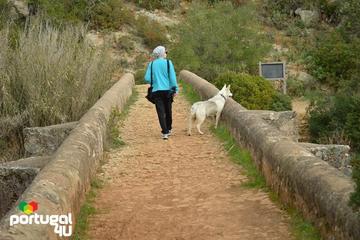 Historical Albufeira Walking Tour
