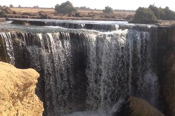 A day desert adventure from Cairo to Valley of the whales - Wadi Hitan - and Wadi Rayan