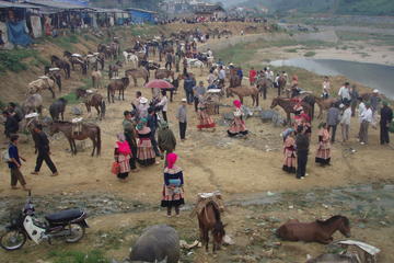 Colorful Local Markets of Sapa Tour