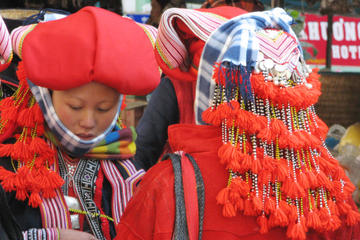 Half-Day Sapa Trek Including Lunch