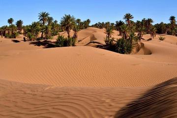 Desert tour from Marrakech 2 days including Half-board and camel trek