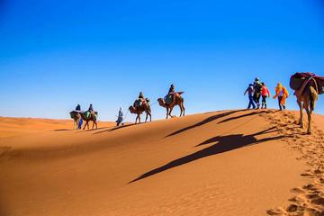 Morocco desert tour 4 days including camel riad and half-board