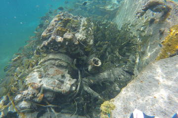 Boat Wreck and Reef Snorkling Eco-Tour