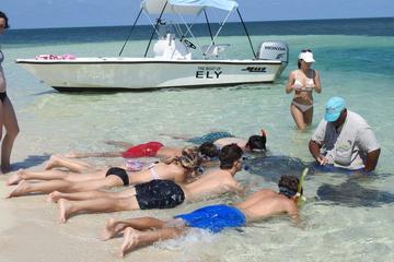 Stingray and Multi-Reef Snorkeling Eco-Tour