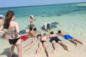 Stingray Snorkel Eco-Tour at Sandy Cay