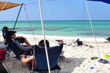 Beach day use :Sea splash and sun worship Island: