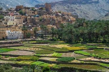Billad Sayt (Day trip) 4WD :Oman Shore excursions
