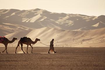 Empty Quarter & a Lost city from Salalah :Oman Shore excursions