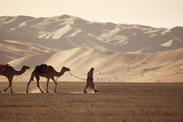 Empty Quarter and a Lost city