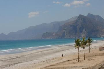 Half day tour Best of West of Salalah :Oman Shore excursions