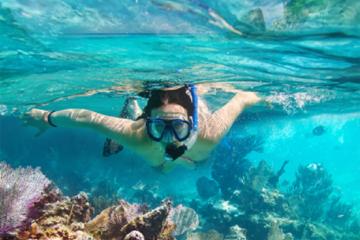 Snorkeling trip