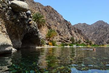 Wadi Abyadh & Wekan Village (Muscat tours) :Oman Shore excursions
