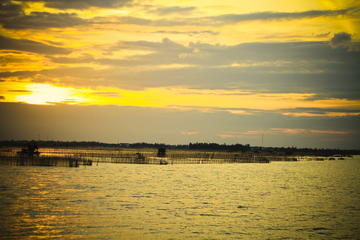 Half-Day Tam Giang Lagoon Cruise from Hue