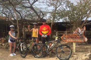 Mountainbike and Snorkeling  2 and a half hours for beginner intermediate riders