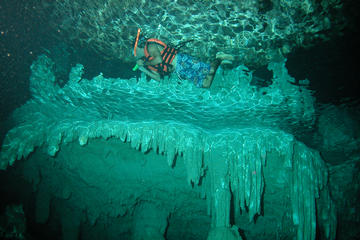 Cenote Chaak Tun Tour in Playa del Carmen