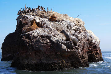 2 Day Nazca Lines And Ballestas Islands Group Service