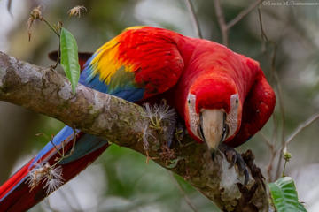 3 Day Posada Amazonas - Classic Program