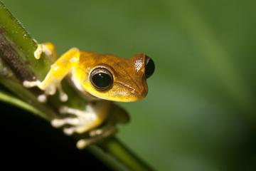4 Day Refugio Amazonas - Classic Program