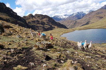 Lares Trek to Machu Picchu in 4 Days