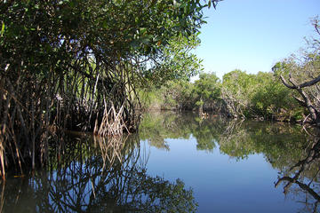 Private San Blas and La Tovara Tour