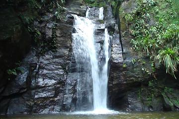 Horto Waterfalls Circuit Adventure Tour in Tijuca National Park