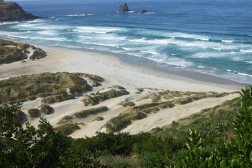 Personalized Tour of Dunedin