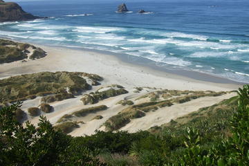 Shore Excursion: Personalized Tour of Dunedin